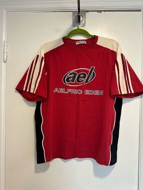 Aelfric Eden SzM Color Block Boxy Speedway Tee racing-inspired Striped Spellout